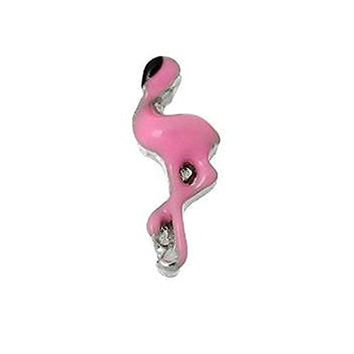 Floating Charms for Glass Living Memory Locket Pendant and Stainless Steel Back Plate (Flamingo Floating Charm)