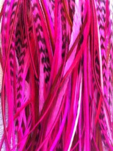 6 Feathers 4 -6 Natural Mix with Hot Pink and Grizzly for Hair Extension