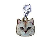 SEXY SPARKLES Cat Face Clip on lobster clasp charm for link charm bracelets,necklaces or keychains