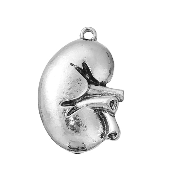 Sexy Sparkles Medical Anatomical 3D Human Kidney Charm Pendant for Necklace,Bracelets or Keychains
