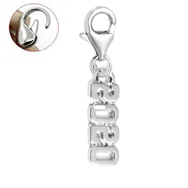 Sexy Sparkles Clip on Charms for Bracelets Year 2020 Lobster Clasp Charm