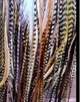 7 Featers in total 7-10 Warm Mix Genuine Long Thin Feathers for Hair Extension 7 Feathers