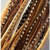 Feather Hair Extensions 6 Feathers 4-7 Natural Mix Ginger with Beige and Grizzly for Feathers for Hair Extension
