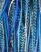 4-6 True Blues & Grizzly Genuine Rooster Feathers for Hair Extension-5 Feathers!