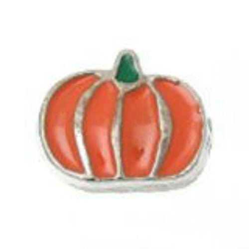 Beautiful Pumplin Floating Charms For Glass Living Memory Locket