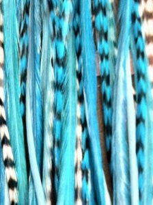 Range From 4-6 Blue with Turquoise with Best Quality Salon Feathers for Hair Extension 5 Feathers