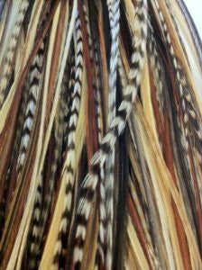 5 Feathers 7-11 Dark Brown,black & Beige Mix Feathers Hair Extension with Amazing Quality Salon Feathers