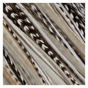 7-11 Zebrz Feather Hair Extension with 5 Salon Quality Feathers for Hair Extension with Black & White American Rooster Feathers