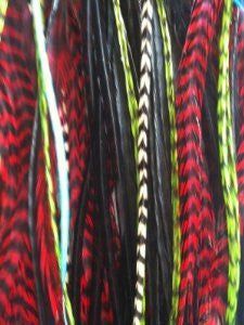 Feather Hair Extension Five 8-11 in Length Original Rooster Peacock  Feather Hair Extension with Red,Green & Black Trendy Feathers