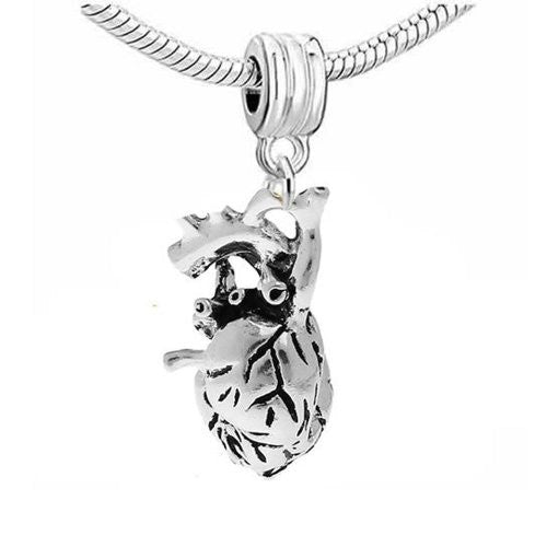 Anatomical 3d Human Heart Dangle Charm European Bead Compatible for Most European Snake Chain Bracelet - Sexy Sparkles Fashion Jewelry