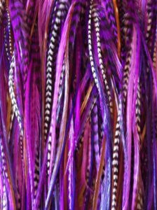 Feather Hair Extensions Five Purple & Violet 4''-6 Mix with Natural Browns Quality Salon Feathers for Hair Extension!