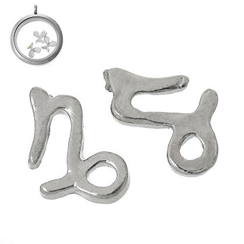 Floating Charms for Glass Living Memory Locket Pendant and Stainless Steel Back Plate (Capricornus Floating Charm) - Sexy Sparkles Fashion Jewelry - 2