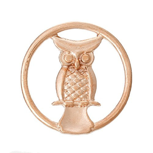 Owl Rose Gold Tone Floating Charms Dish Plate for Glass Locket Pendants and Floating