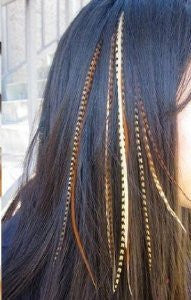 4-6 feathers- Five Natural Dark Browns with Beige Mix Feathers for Salon Quality Hair Extension. - Sexy Sparkles Fashion Jewelry - 2
