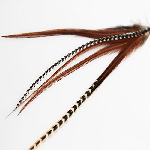 4 Natural Feather Hair Extensions Brown Tones