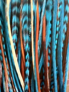 Feather Hair Extensions, 100% Real Rooster Feathers Natural and Turquoise Blue Colors