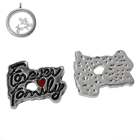 Floating Charms for Glass Living Memory Locket Pendant and Stainless Steel Back Plate (Forever Family Floating Charm) - Sexy Sparkles Fashion Jewelry - 2