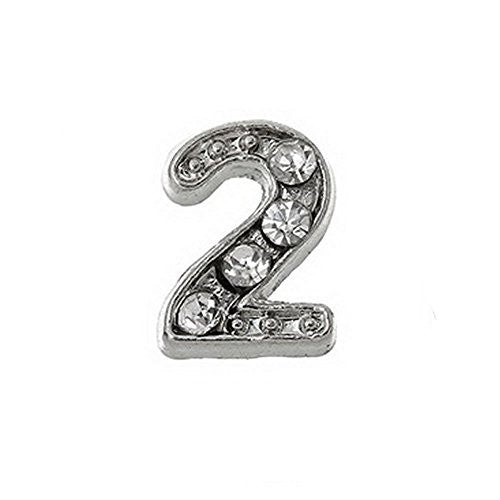 Floating Charms For Glass Living Memory Locket (2) - Sexy Sparkles Fashion Jewelry