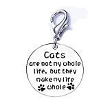 SEXY SPARKLES Cat Pet Memorial Charm inch Cats are not my whole life, but they make my life whole inch  Clip on lobster clasp charm