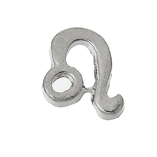 Floating Charms for Glass Living Memory Locket Pendant and Stainless Steel Back Plate (Leo Floating Charm) - Sexy Sparkles Fashion Jewelry - 1