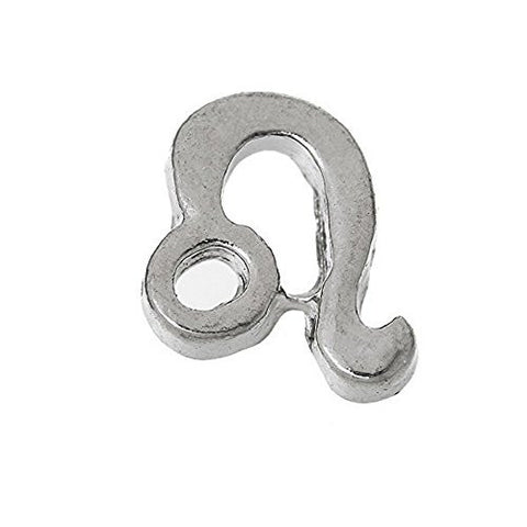 Floating Charms for Glass Living Memory Locket Pendant and Stainless Steel Back Plate (Leo Floating Charm) - Sexy Sparkles Fashion Jewelry - 1