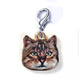 SEXY SPARKLES Cat Face Clip on lobster clasp charm for link charm bracelets,necklaces or keychains