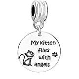 SEXY SPARKLES Pet Memorial Cat Charm inch  My kitten flies with angels inch  European Spacer Dangling Compatible Charm