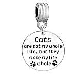 SEXY SPARKLES Pet Memorial Charm inch Cats are not my whole life, but they make my life whole inch  European Spacer Dangling Compatible Charm