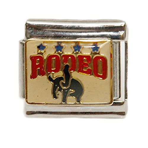 Rodeo & Black Bull Italian Link Bracelet Charm