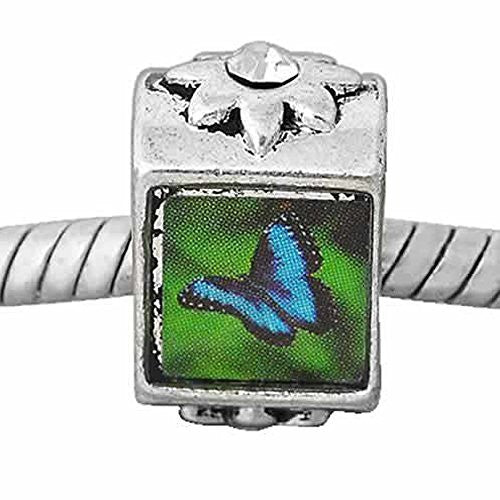 Butterfly European Bead Compatible for Most European Snake Chain Charm Bracelet - Sexy Sparkles Fashion Jewelry - 1
