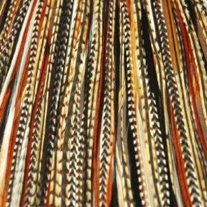 4-7 Black with Browns & Beige Quality Salon Feathers for Hair Extension