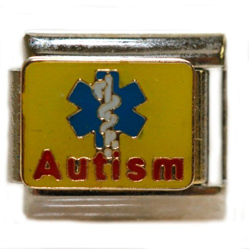 Autism with Medical Sign Italian Charm Bracelet Link - Sexy Sparkles Fashion Jewelry