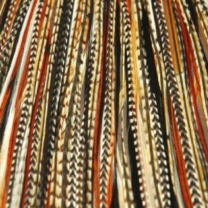 Feather Hair Extension 8-12 Black with Browns & Beige Quality Salon Feathers for Hair Extension