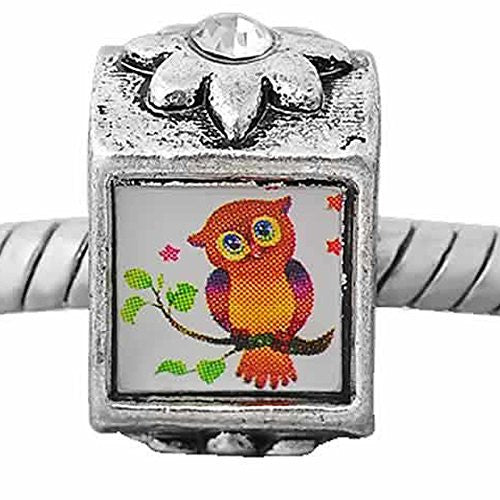 2 Sides Photo of Owl on Bead Compatible for Most European Snake Chain Bracelet with  Crystal Stones For Snake Chain Charm Bracelet