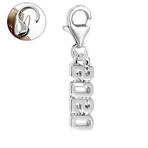 Sexy Sparkles Clip on Charms for Bracelets Year 2020 Lobster Clasp Charm