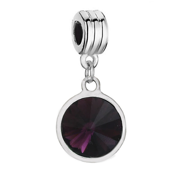 Sexy Sparkles  February Birthstone charms Dangling Spacer Beads for Bracelets or Necklace European Compatible - Sexy Sparkles Fashion Jewelry - 1