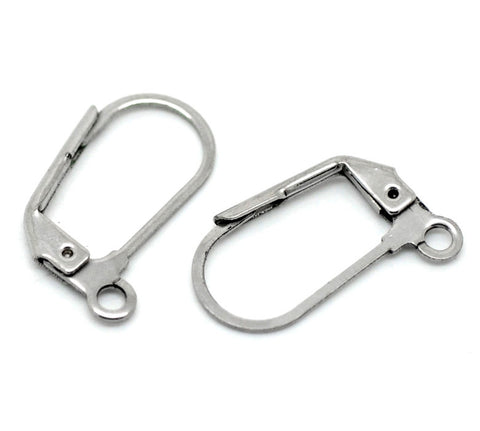 4 Pcs Silver Tone Stainless Steel Lever Back Earrings with Ring Wire Findings... - Sexy Sparkles Fashion Jewelry - 1