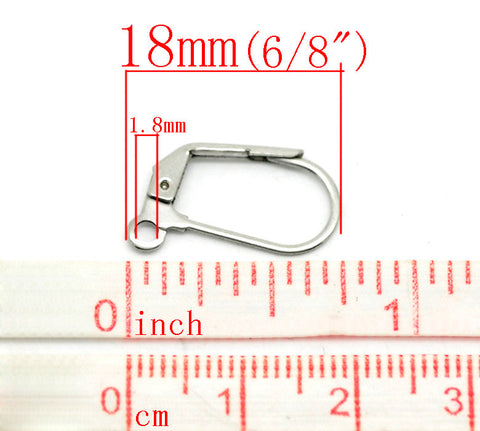 4 Pcs Silver Tone Stainless Steel Lever Back Earrings with Ring Wire Findings... - Sexy Sparkles Fashion Jewelry - 3