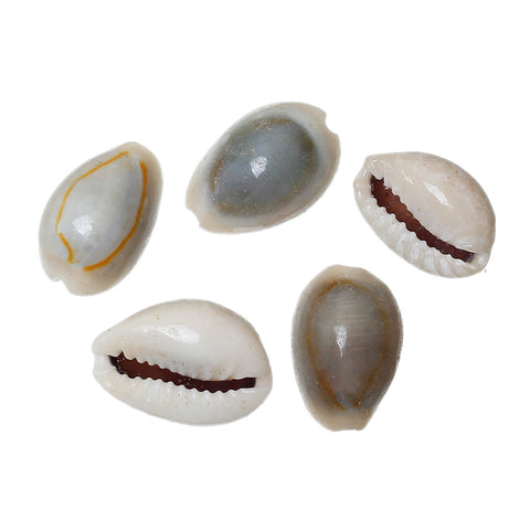 20 Pcs Shell Embellishment Findings Natural Spiral (15mm x 10mm) - Sexy Sparkles Fashion Jewelry - 1