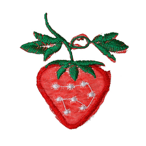 10 Pcs Strawberry Embroidered Cloth Iron on Patches Appliques 5.4cm [Kitchen] - Sexy Sparkles Fashion Jewelry - 1