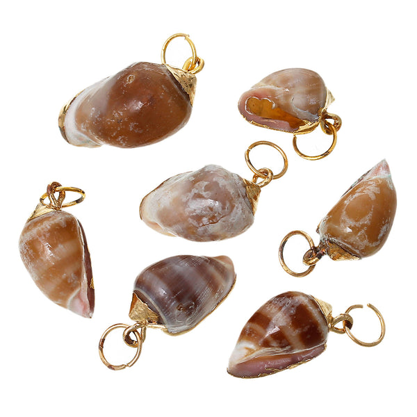 5 Pcs Natural Shell Shape Conch Sea Snail Charm Pendant 27mm x13mm - Sexy Sparkles Fashion Jewelry - 1