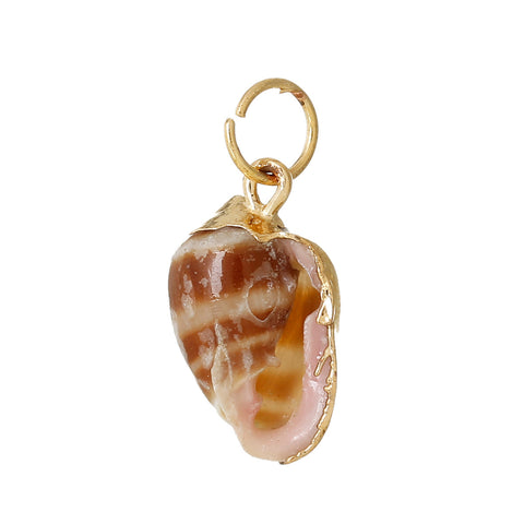 5 Pcs Natural Shell Shape Conch Sea Snail Charm Pendant 27mm x13mm - Sexy Sparkles Fashion Jewelry - 2