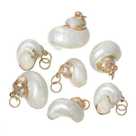 5 Pcs Natural Shell Conch Sea Snail Shape Charm Pendant 4cm x 2.1cm - Sexy Sparkles Fashion Jewelry - 2