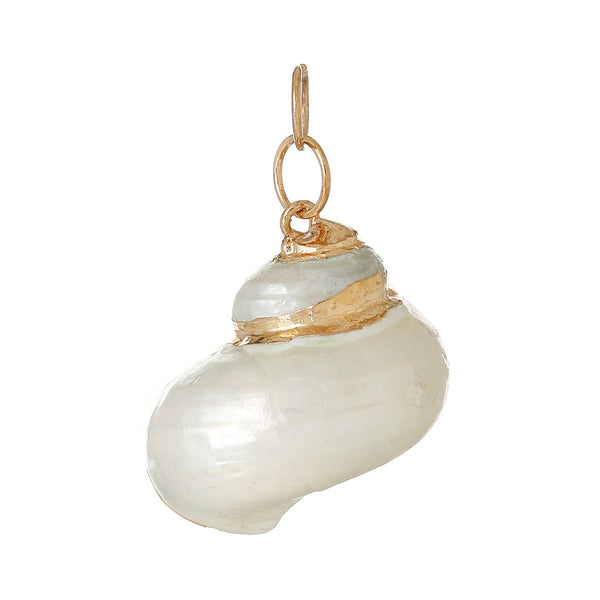 5 Pcs Natural Shell Conch Sea Snail Shape Charm Pendant 4cm x 2.1cm - Sexy Sparkles Fashion Jewelry - 1