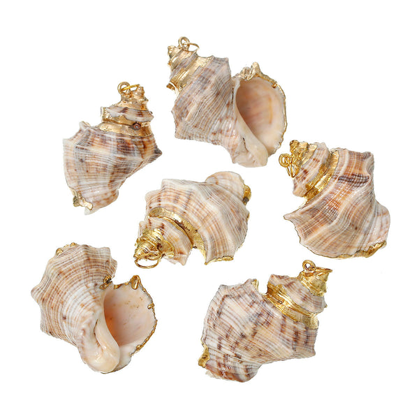 5 Pcs Natural Shell Shape Conch Sea Snail Charm Pendant 4.1cm x 3.1cm - Sexy Sparkles Fashion Jewelry - 1