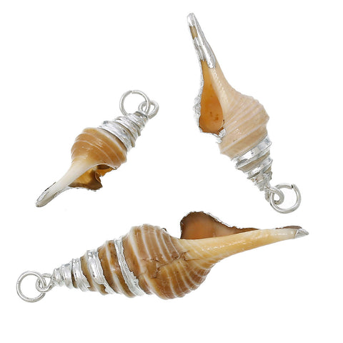 5 Pcs Natural Shell Shape Conch Sea Snail Silver Plated Charm Pendant 2in X 5... - Sexy Sparkles Fashion Jewelry - 2