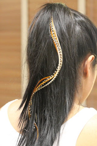 Feather Hair Extensions, 100% Real Rooster Feathers, Long Natural Colors, 20 Feathers with Beads and Loop Tool Kit - Sexy Sparkles Fashion Jewelry - 4