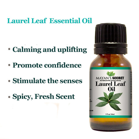 Laurel Leaf Essential Oil (100% Pure -Best Therapeutic Grade Essential Oil - 30 ml(1 oz)