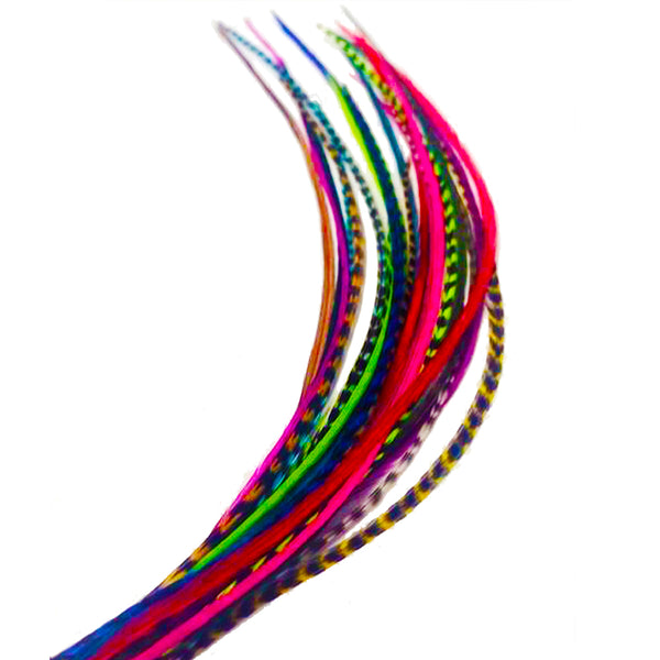 Feather Hair Extensions, 100% Real Rooster Feathers, Short Rainblow colors 20 Feathers for hair