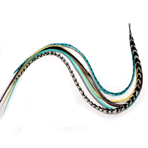 100% Genuine Feathers for hair Extensions Turquoise, White Grizzly  & Brown Long Thin Feathers for Hair Extension 7 Feathers
